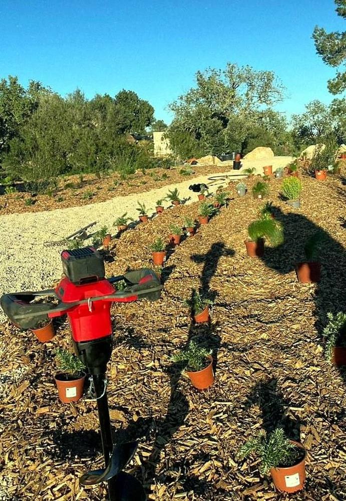 Plantación y riego automático