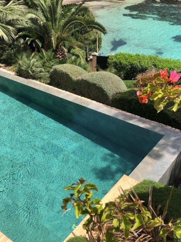 Piscina rodeada de jardín
